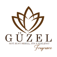 Nash client logo